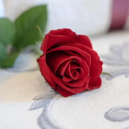 Royal Gardens Bed & Breakfast